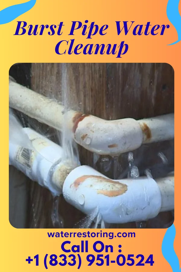 Burst Pipe Water Cleanup in Avon-by-the-Sea, NJ