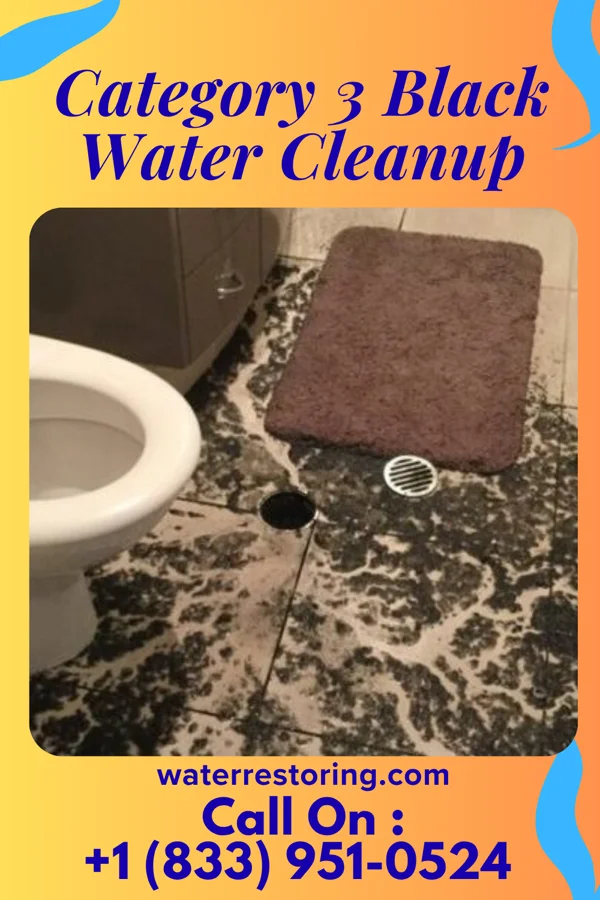 Category 3 Black Water Cleanup in Avon-by-the-Sea, NJ