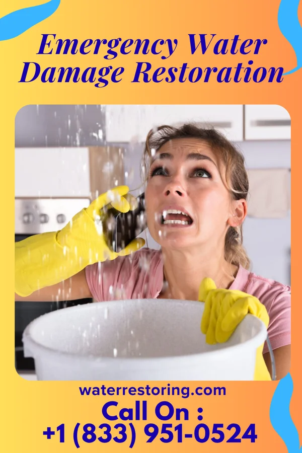 Emergency Water Damage Restoration in Avon-by-the-Sea, NJ