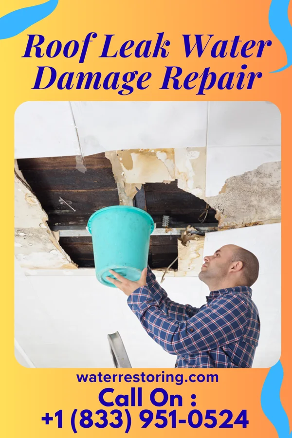Roof Leak Water Damage Repair in Avon-by-the-Sea, NJ