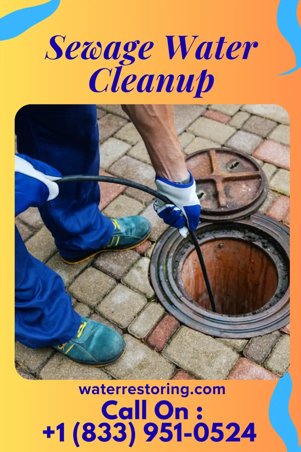 Sewage Water Cleanup in Avon-by-the-Sea, NJ